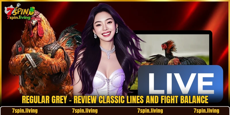 Regular Grey - Review Classic Lines And Fight Balance