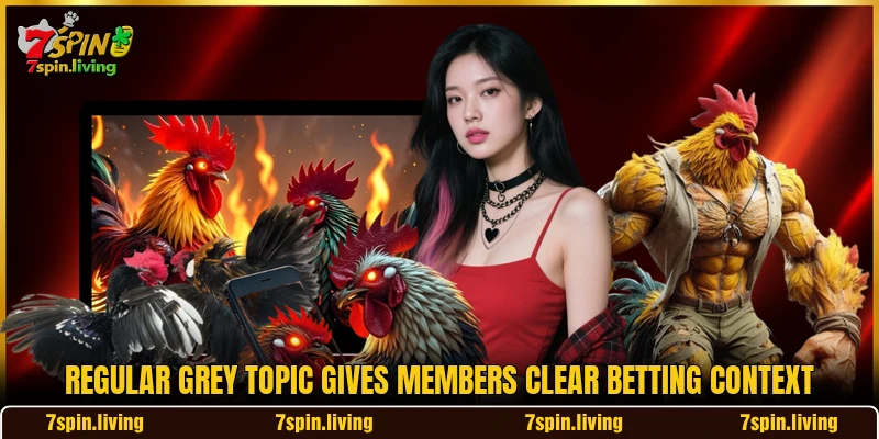 Regular Grey topic gives members clear betting context